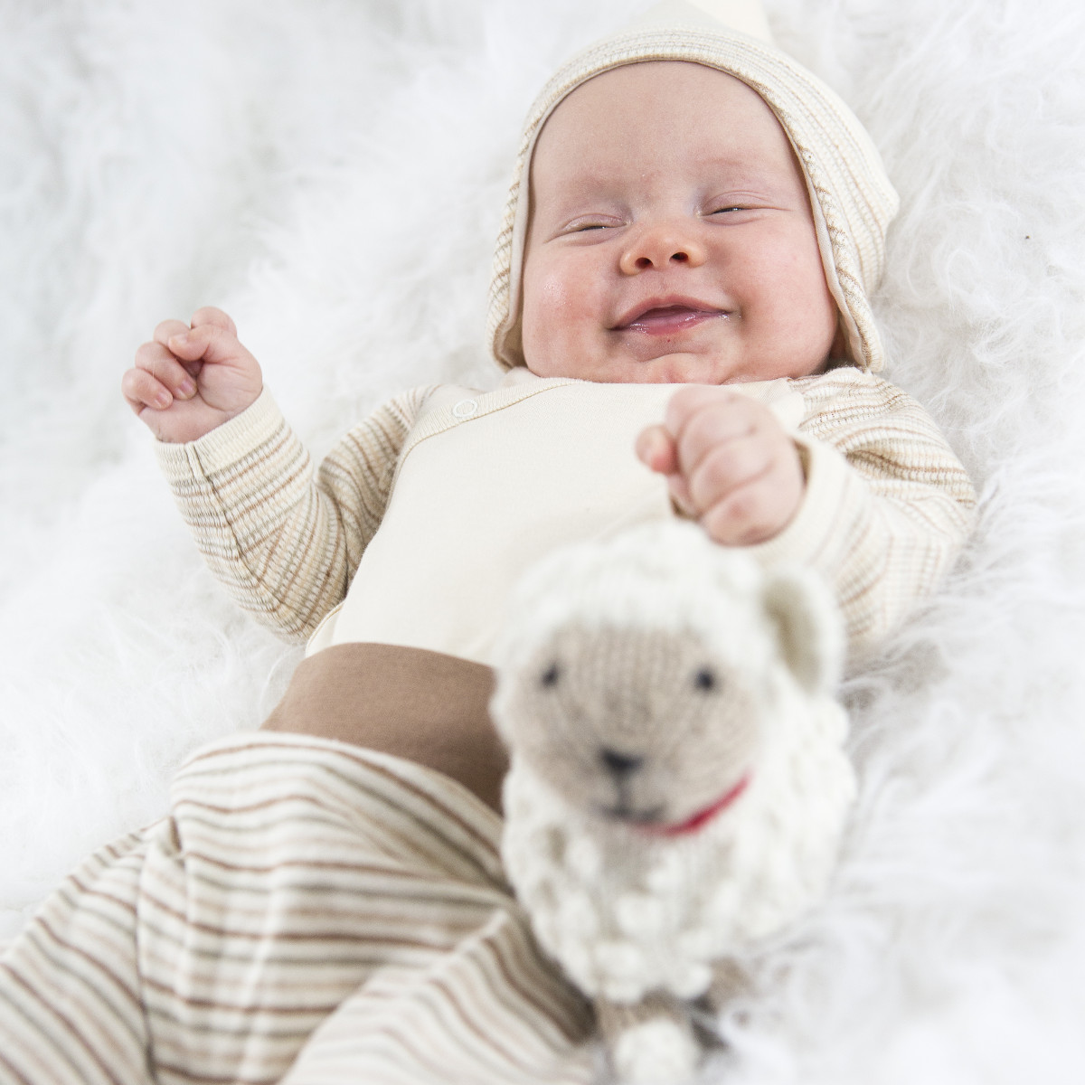 Geburtstagskarte Spruch Lustig  Schnell Finden