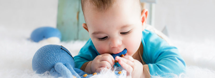 Es ist weich und tut gut_Das Kuscheltier