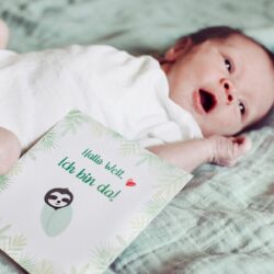 Baby Meilensteinkarten mit Faultier Motiven