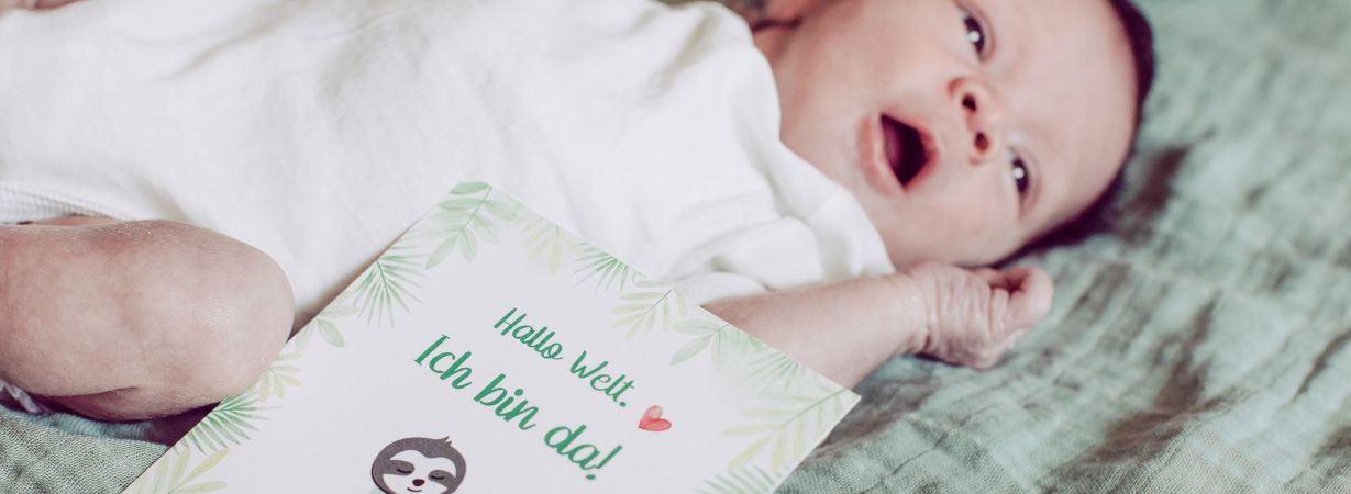 Baby Meilensteinkarten mit niedlichen Faultier Motiven