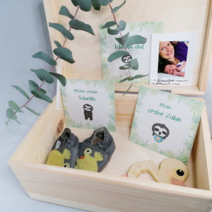 Erinnerungsbox mit Meilensteinkarten