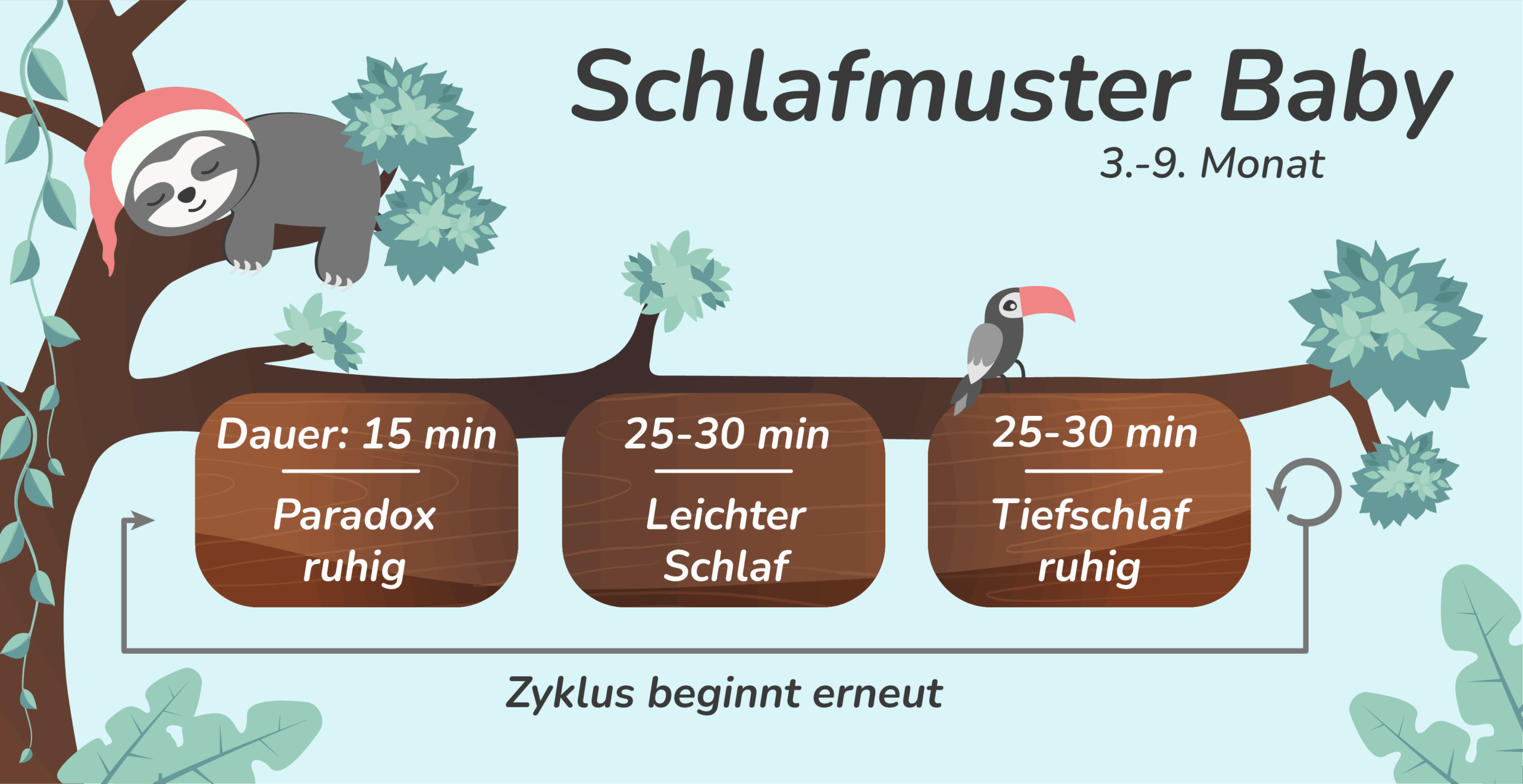 Schlafmuster von Babys 3-9 Monate