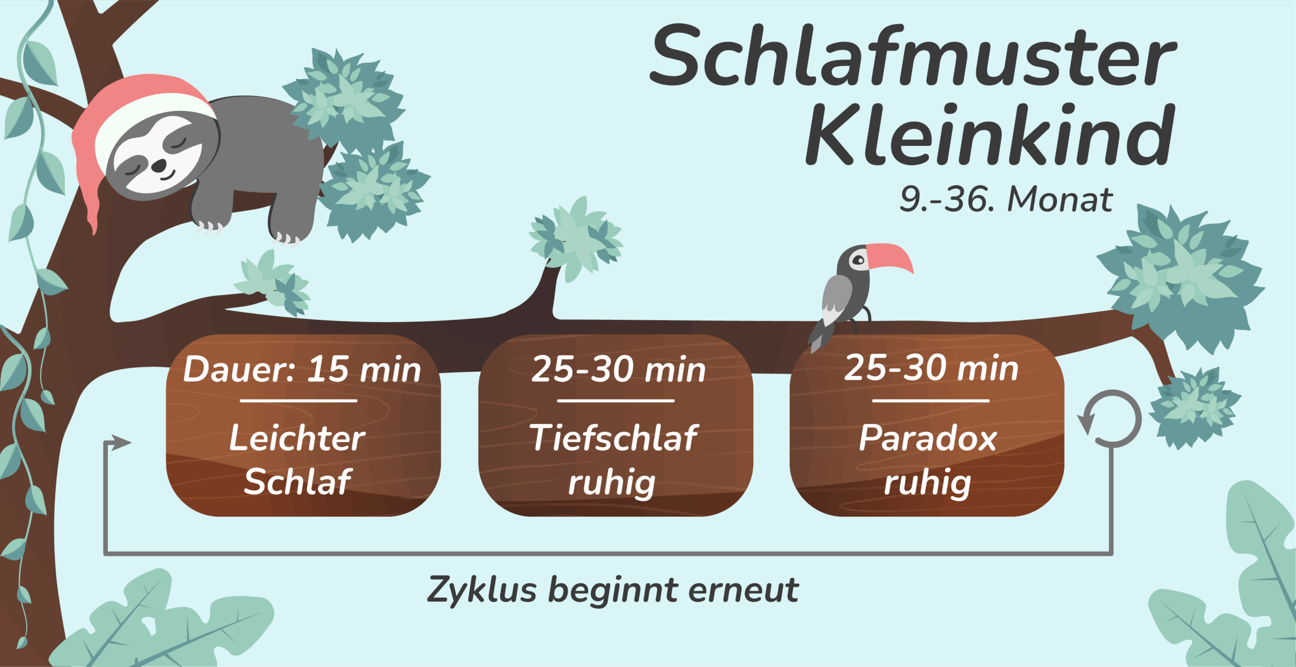 Schlafmuster von Kleinkindern 9-36 M