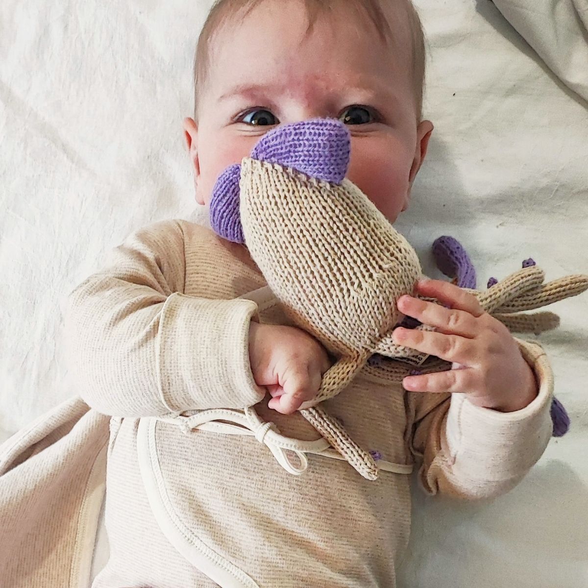 Bio Kuscheltier Kalmar für Babys und Frühchen
