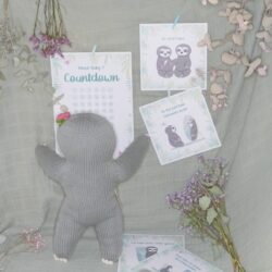 Set aus Meilensteinkarten Schwangerschaft, Baby Countdown und Faultier Kuscheltier – alles für eine liebevolle Erinnerung an die Schwangerschaftsreise.