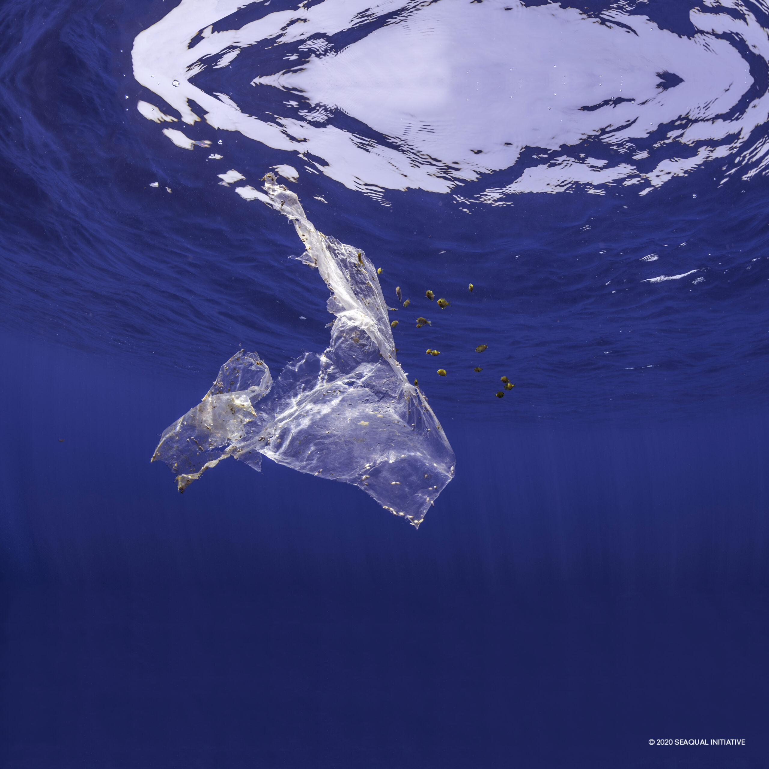 SEAQUAL Upcycled Marine Plastic Meeresplastik