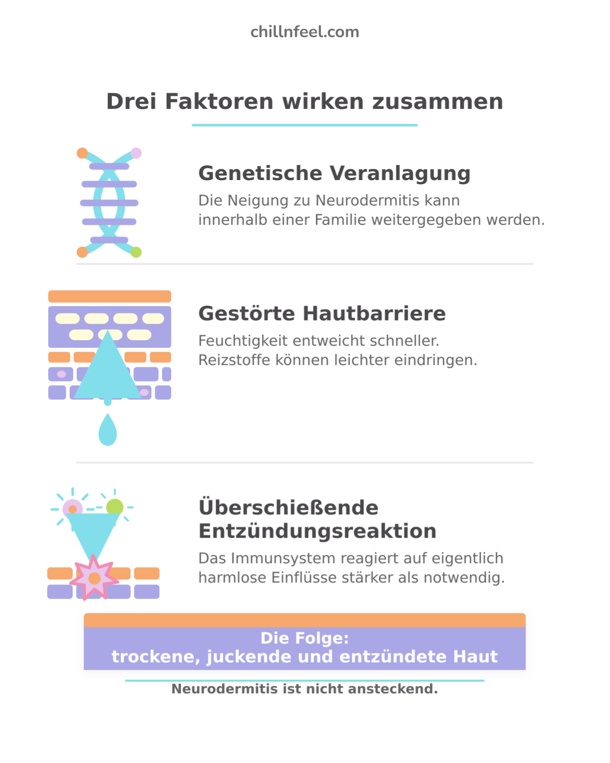 Grafik zu den Ursachen von Neurodermitis auf der Kopfhaut: genetische Veranlagung, gestörte Hautbarriere und Entzündungsreaktion