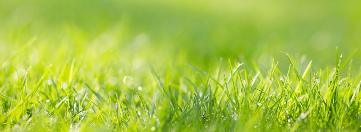 Ekzeme durch Pollenflug? Was du bei Kinderhaut jetzt tun kannst