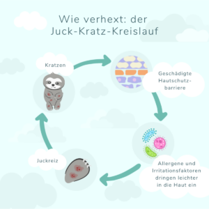 Neurodermitis Ratgeber_Juck-Kratz-Kreislauf (2)