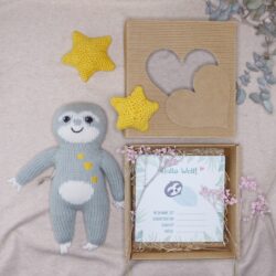 Babybox zur Geburt mit Faultier Einschlafhilfe und Baby Meilensteinkarten