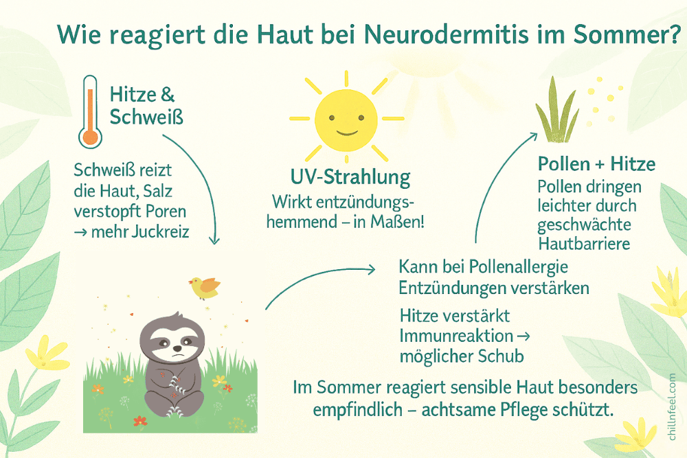 Infografik: Wie reagiert die Haut bei Neurodermitis im Sommer – Einfluss von Hitze, Schweiß, UV-Strahlung und Pollen auf empfindliche Haut, erklärt mit Symbolen und niedlichem Faultier