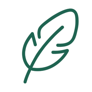 Neurodermitis – Google Ads Landing Page