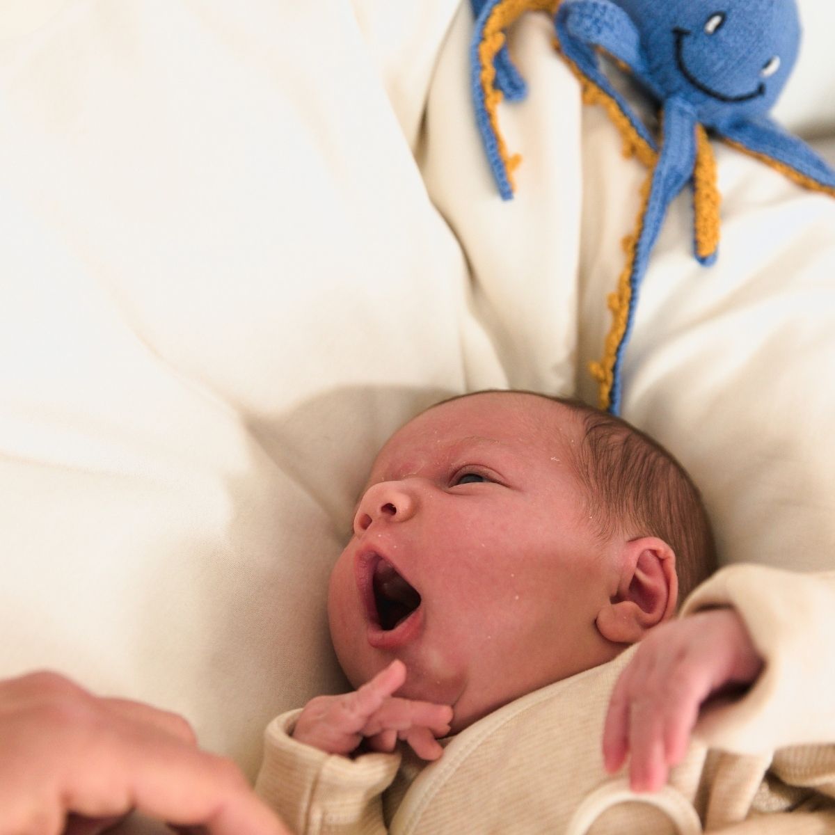 Geschenke für Frühchen – Neugeborenes liegt geborgen in weicher Bio-Kleidung mit beruhigendem Oktopus
